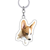 Custom Pet Keychain Dog Key Chain