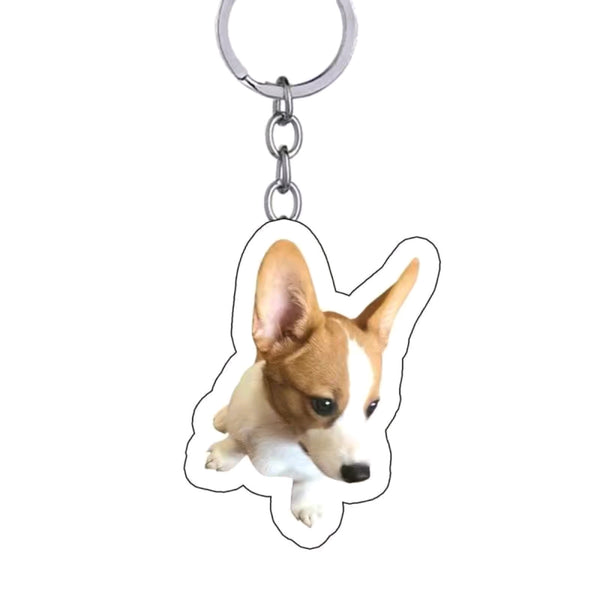 Custom Pet Keychain Dog Key Chain – Pdodo