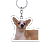 Custom Pet Keychain Dog Key Chain